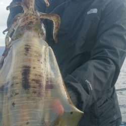 シースナイパー海龍 釣果