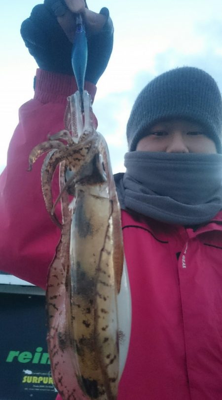 シースナイパー海龍 釣果