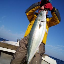 ひな丸 釣果