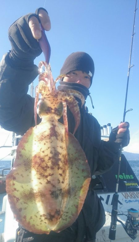 シースナイパー海龍 釣果