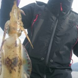 シースナイパー海龍 釣果