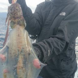 シースナイパー海龍 釣果