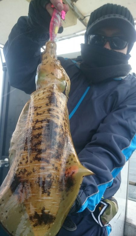 シースナイパー海龍 釣果