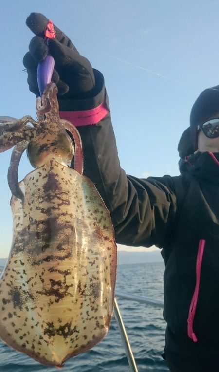 シースナイパー海龍 釣果