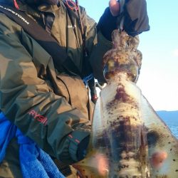 シースナイパー海龍 釣果