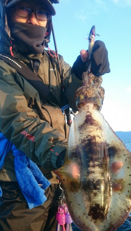 シースナイパー海龍 釣果