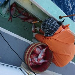 米丸 釣果