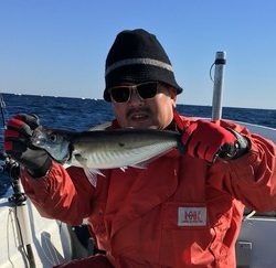 はしくに 釣果