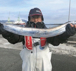 橋安丸 釣果