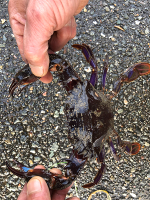 初釣りに来ましたが…