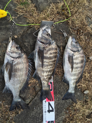 新年初釣り