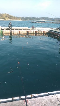 カタタの釣りで初釣り