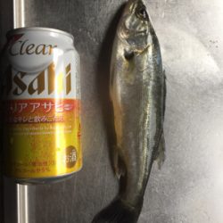 魚のアタリが欲しくて！