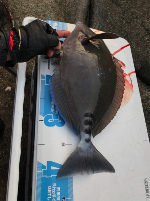 沖の島 磯釣り 撃沈。