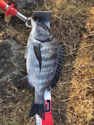 新年初釣り