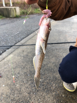 初釣りに来ましたが…