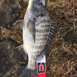 新年初釣り