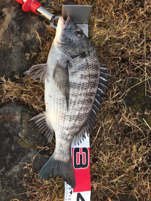 新年初釣り