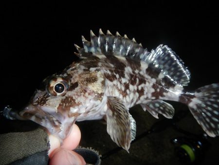 爆風の中の釣り初め