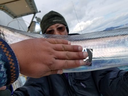 遊漁船　ニライカナイ 釣果