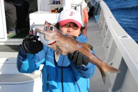 へいみつ丸 釣果