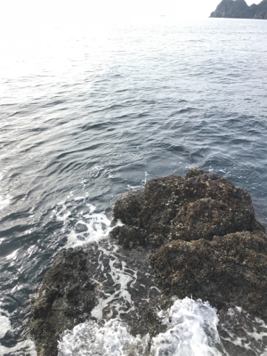 沖の島 磯釣り 撃沈。