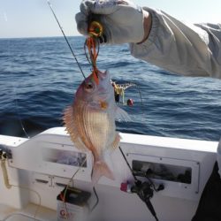 開進丸 釣果