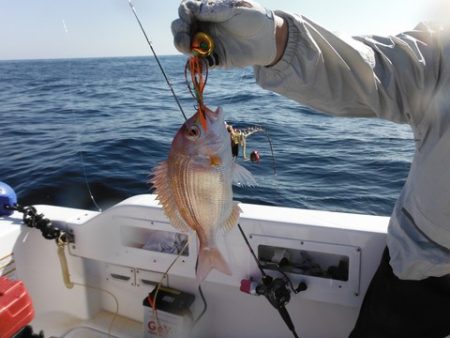 開進丸 釣果