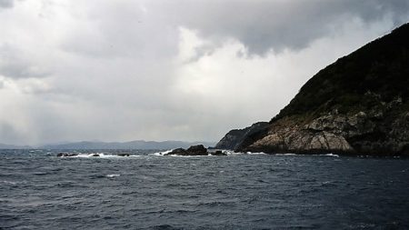 しば渡船 釣果