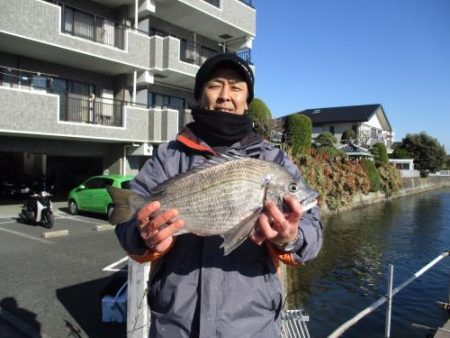 あい川丸 釣果