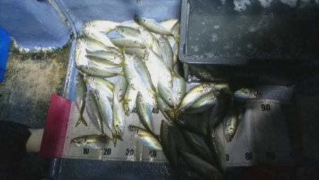 釣り船武蔵 釣果