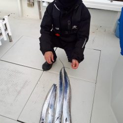 釣り船くわだ 釣果