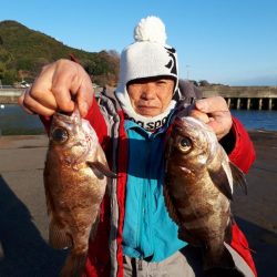 釣り船くわだ 釣果