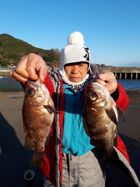 釣り船くわだ 釣果