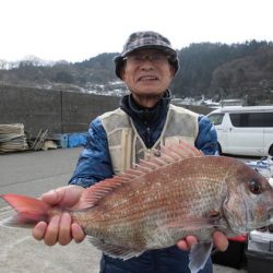 大進丸（新潟） 釣果