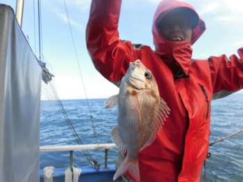 鯛紅丸 釣果