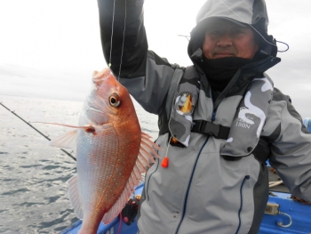 鯛紅丸 釣果