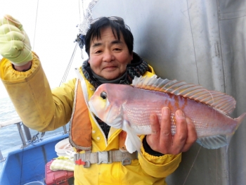 鯛紅丸 釣果