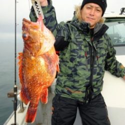 鯛紅丸 釣果