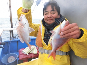 鯛紅丸 釣果