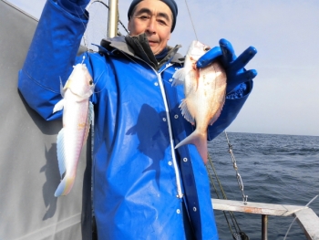 鯛紅丸 釣果