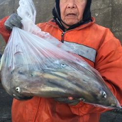 松栄丸 釣果