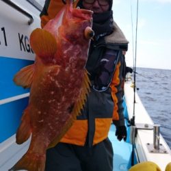 海晴丸 釣果