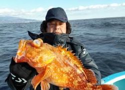 長栄丸(静岡) 釣果