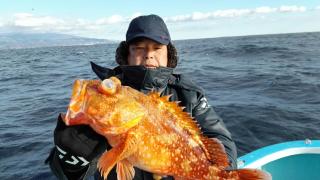 長栄丸(静岡) 釣果