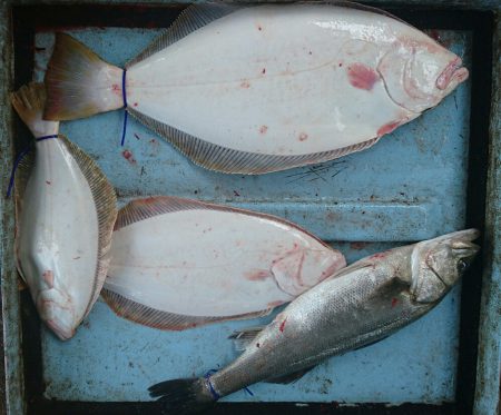 明神釣船 釣果