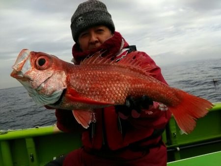 横内丸 釣果