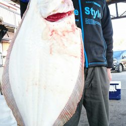 明神釣船 釣果