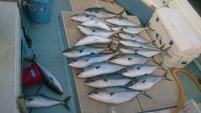 旭星釣りセンター 釣果