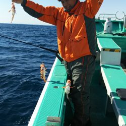 モンロー号 釣果